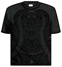 ROCKBAND - BLACK SNAKES